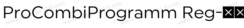 ProCombiProgramm Reg字体转换